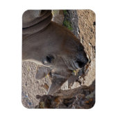 Magnet Flexible Rhinocéros (Vertical)