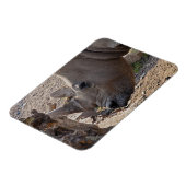 Magnet Flexible Rhinocéros (Côté Gauche)