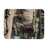 Magnet Flexible Rhinocéros (Horizontal)