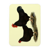 Magnet Flexible Rhode Island Red Bantams (Vertical)