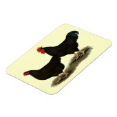 Magnet Flexible Rhode Island Red Bantams (Côté Gauche)
