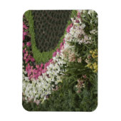 Magnet Flexible Rhododendron (Rhododendron catawbiense) Santé (Vertical)