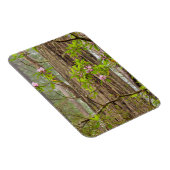 Magnet Flexible Rhododendrons florissants | Redwoods State Park, C (Côté Droit)