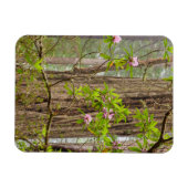 Magnet Flexible Rhododendrons florissants | Redwoods State Park, C (Horizontal)