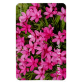 Magnet Flexible Rhodohypoxis / Etoile rouge / Rosy Posy (Vertical)