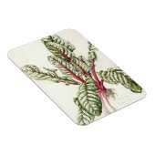 Magnet Flexible Rhubarb Chard 1992 (Côté Droit)