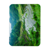 Magnet Flexible Rice terrace landscape, Philippines (Vertical)