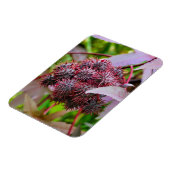 Magnet Flexible Ricinus communis (Côté Gauche)