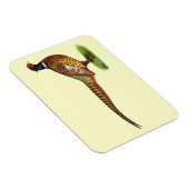 Magnet Flexible Ringneck Pheasant Rooster (Côté Droit)