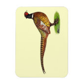 Magnet Flexible Ringneck Pheasant Rooster (Vertical)