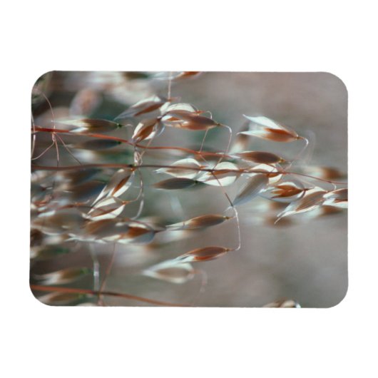 Magnet Flexible Ripe Oats Ceres, Boland (Horizontal)