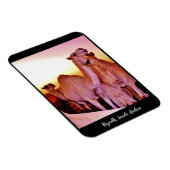 Magnet Flexible Riyad, Arabie saoudite (Côté Droit)