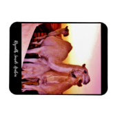 Magnet Flexible Riyad, Arabie saoudite (Horizontal)