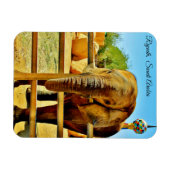 Magnet Flexible Riyad, Arabie Saoudite (Horizontal)