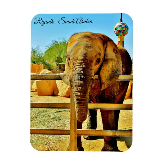 Magnet Flexible Riyad, Arabie Saoudite (Vertical)