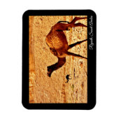 Magnet Flexible Riyad, Arabie Saoudite (Vertical)