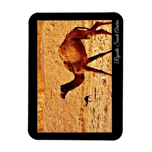 Magnet Flexible Riyad, Arabie Saoudite (Vertical)