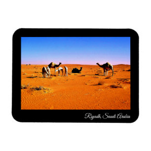 Magnet Flexible Riyad, Arabie saoudite