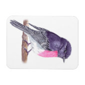Magnet Flexible Robin (Horizontal)