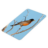 Magnet Flexible Robin (Côté Gauche)