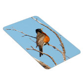 Magnet Flexible Robin (Côté Droit)