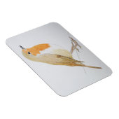 Magnet Flexible Robin 2011 (Côté Droit)