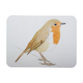 Magnet Flexible Robin 2011 (Horizontal)