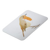 Magnet Flexible Robin 2011 (Côté Gauche)