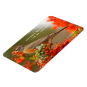 Magnet Flexible Robin américain avec Pyracantha Pomme (Côté Gauche)