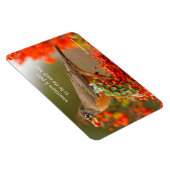 Magnet Flexible Robin américain avec Pyracantha Pomme (Côté Droit)