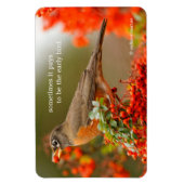 Magnet Flexible Robin américain avec Pyracantha Pomme (Vertical)