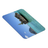 Magnet Flexible Roche cristalline composée de corail (Côté Droit)