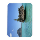 Magnet Flexible Roche cristalline composée de corail (Vertical)