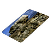 Magnet Flexible Roche de champignons (Côté Gauche)