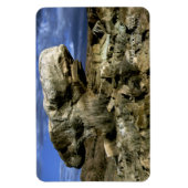 Magnet Flexible Roche de champignons (Vertical)