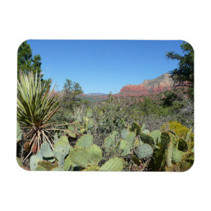 Magnet Flexible Rochers rouges et cactus I