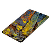 Magnet Flexible Roches couvertes de lichen (Côté Gauche)
