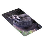 Magnet Flexible Rocky le Raccoon (Côté Droit)