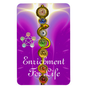 MAGNET FLEXIBLE RODE D'ASCLEPIUS 7 CHAKRAS, YOGA, ÉNERGIE SPIRITU