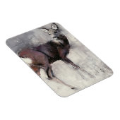 Magnet Flexible Roe Doe 2000 (Côté Droit)