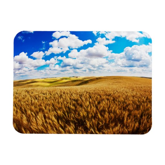 Magnet Flexible Rolling hills of ripe wheat (Horizontal)