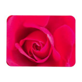 Magnet Flexible Romantic Red Pink Rose v2 (Horizontal)