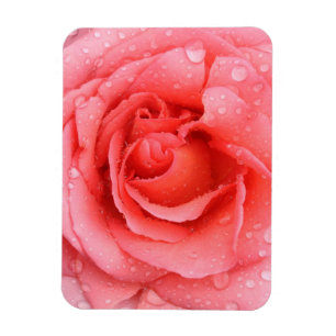 Magnet Flexible Romantique Rose rose rouge gouttes d'eau