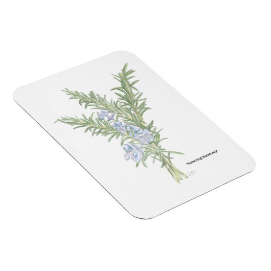 Magnet Flexible Romarin (Côté Droit)