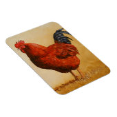 Magnet Flexible Rooster chicken de Rhode Island (Côté Droit)