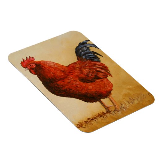 Magnet Flexible Rooster chicken de Rhode Island (Côté Droit)