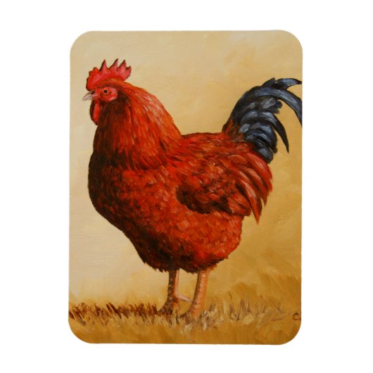 Magnet Flexible Rooster chicken de Rhode Island (Vertical)