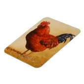 Magnet Flexible Rooster chicken de Rhode Island (Côté Gauche)