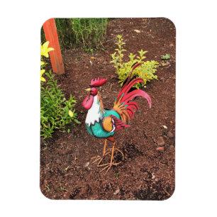 Magnet Flexible Rooster coloré dans le jardin