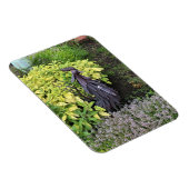 Magnet Flexible Rooster en métal (Côté Droit)